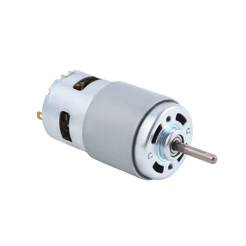 RS787 Brush DC Motor for robot