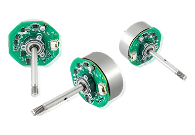 Brushless DC Motor