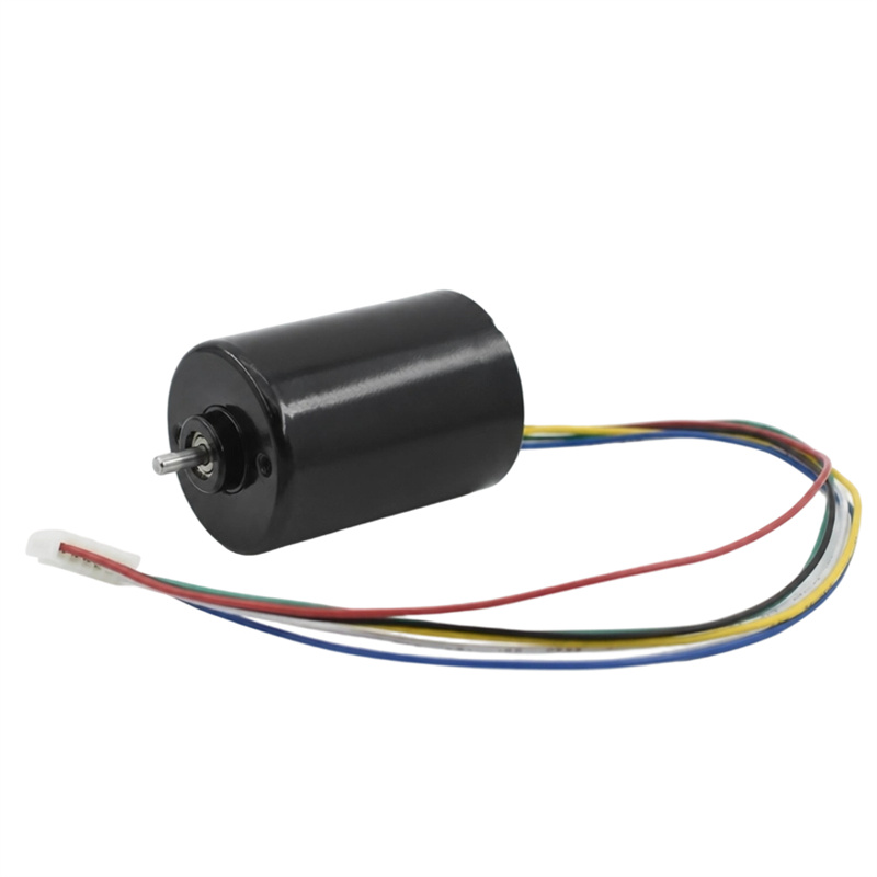 3650BL Brushless DC Motor